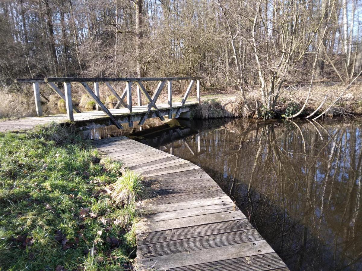 Suderburg Waldhaus Emmaヴィラ エクステリア 写真